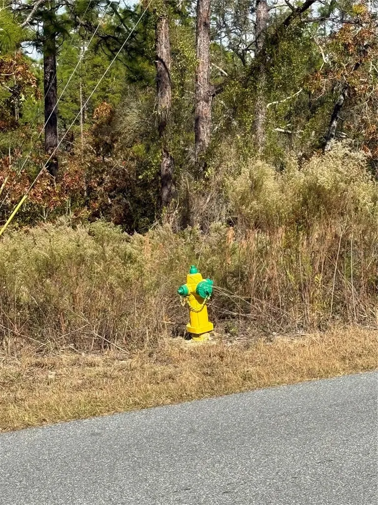 220 Linder Drive Homosassa FL 34446