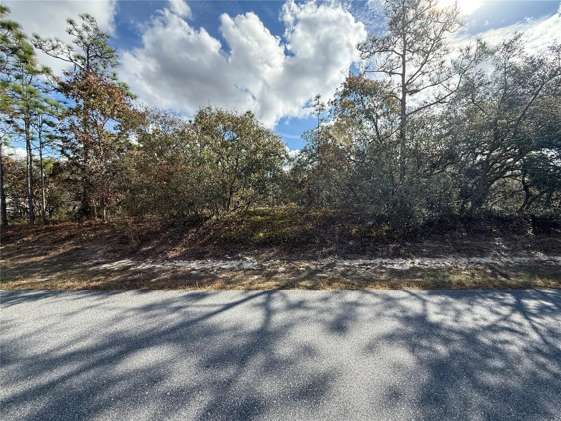 220 Linder Drive Homosassa FL 34446