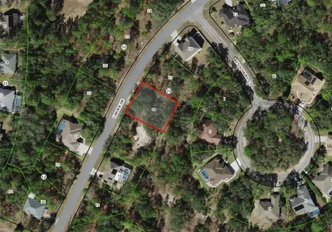 220 Linder Drive Homosassa FL 34446
