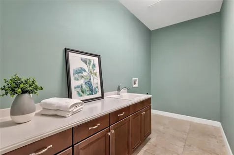 9127 Tillinghast Drive Tampa FL 33626