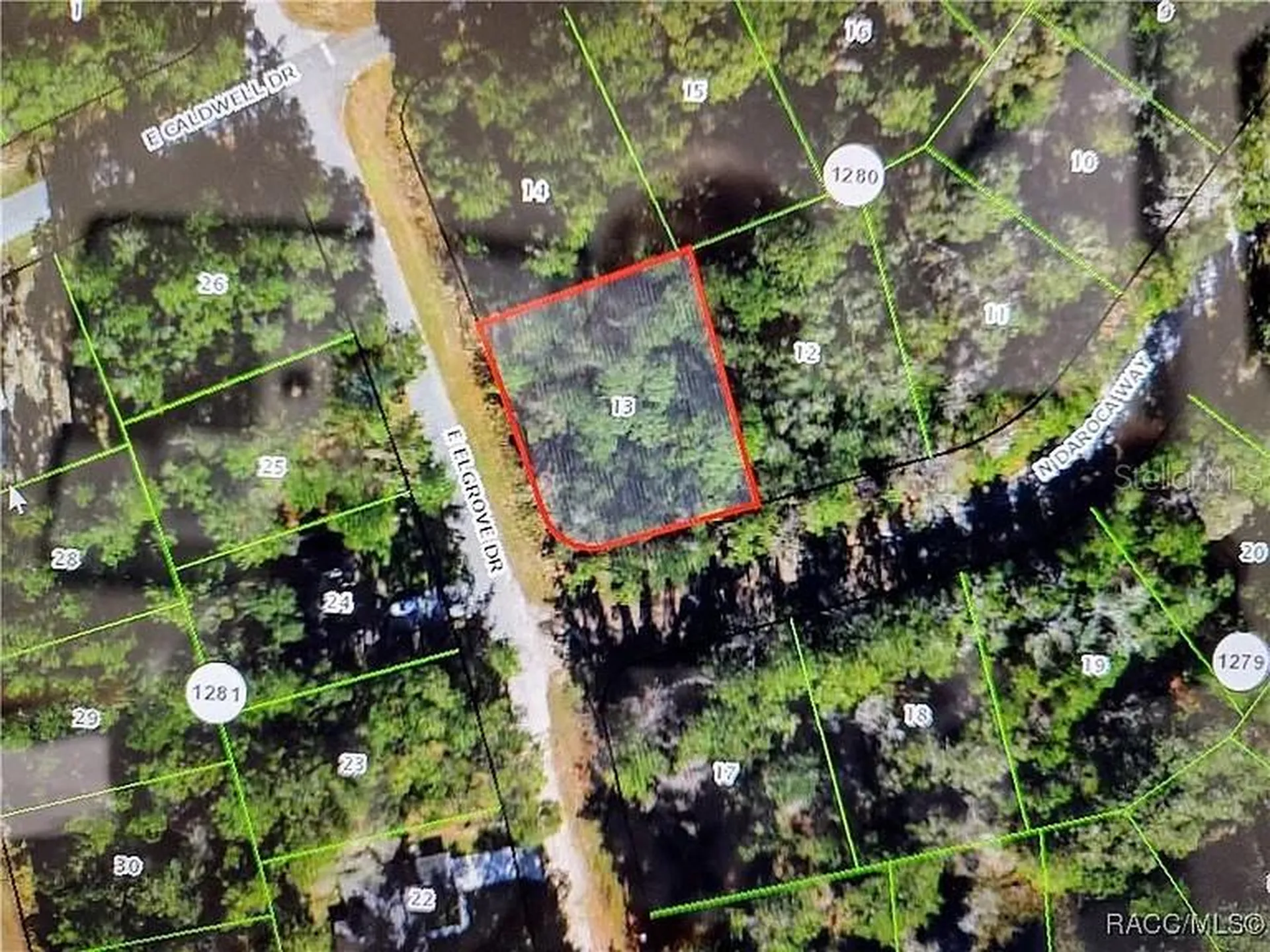 551 E Elgrove Drive Citrus Springs FL 34434