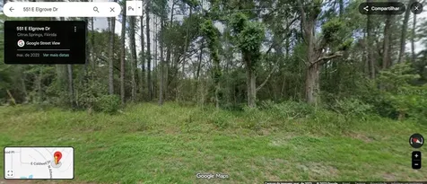551 E Elgrove Drive Citrus Springs FL 34434