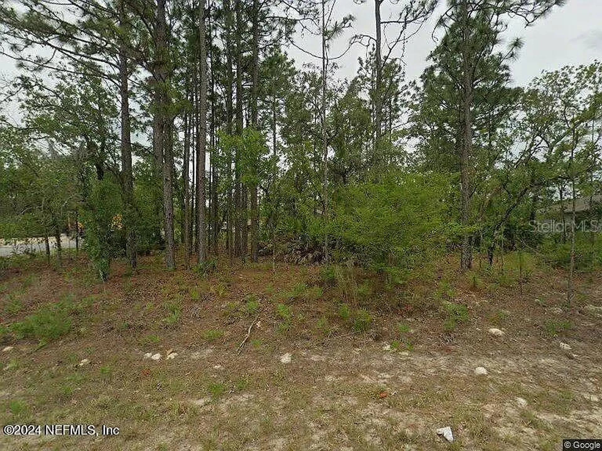 2044 W Riley Drive Citrus Springs FL 34434