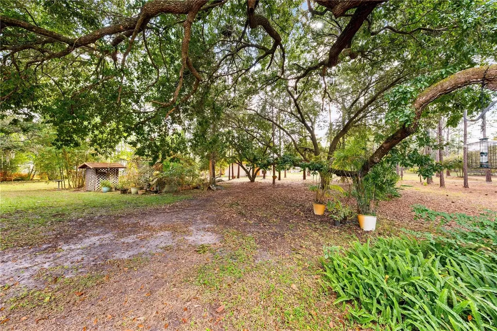 1860 Mustang Court St Cloud FL 34771
