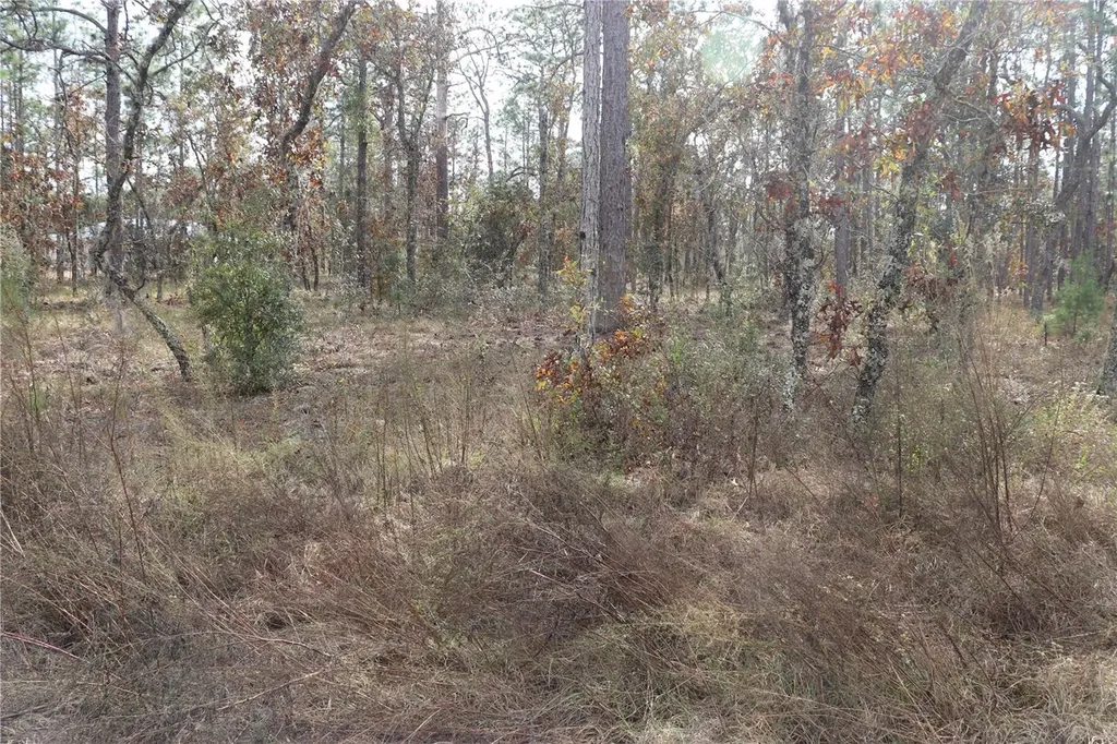 00 Geranium Avenue Dunnellon FL 34431