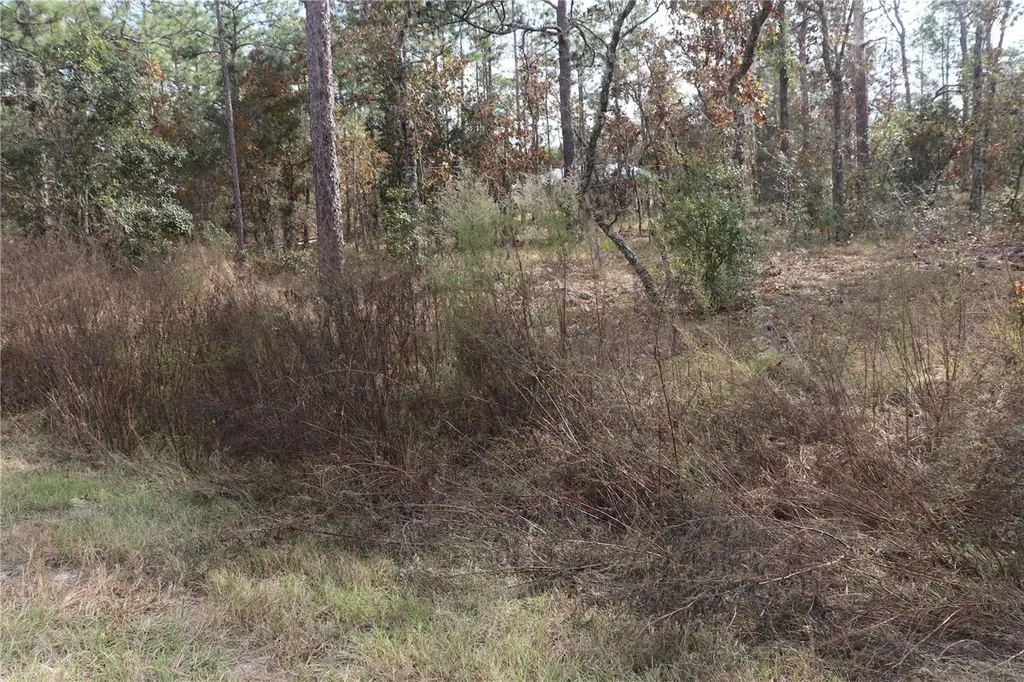 00 Geranium Avenue Dunnellon FL 34431