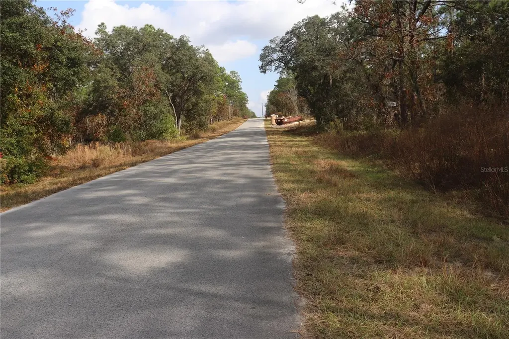 00 Geranium Avenue Dunnellon FL 34431