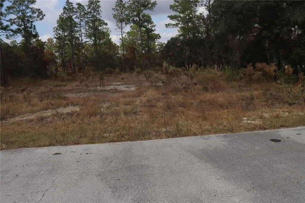 00 Geranium Avenue Dunnellon FL 34431
