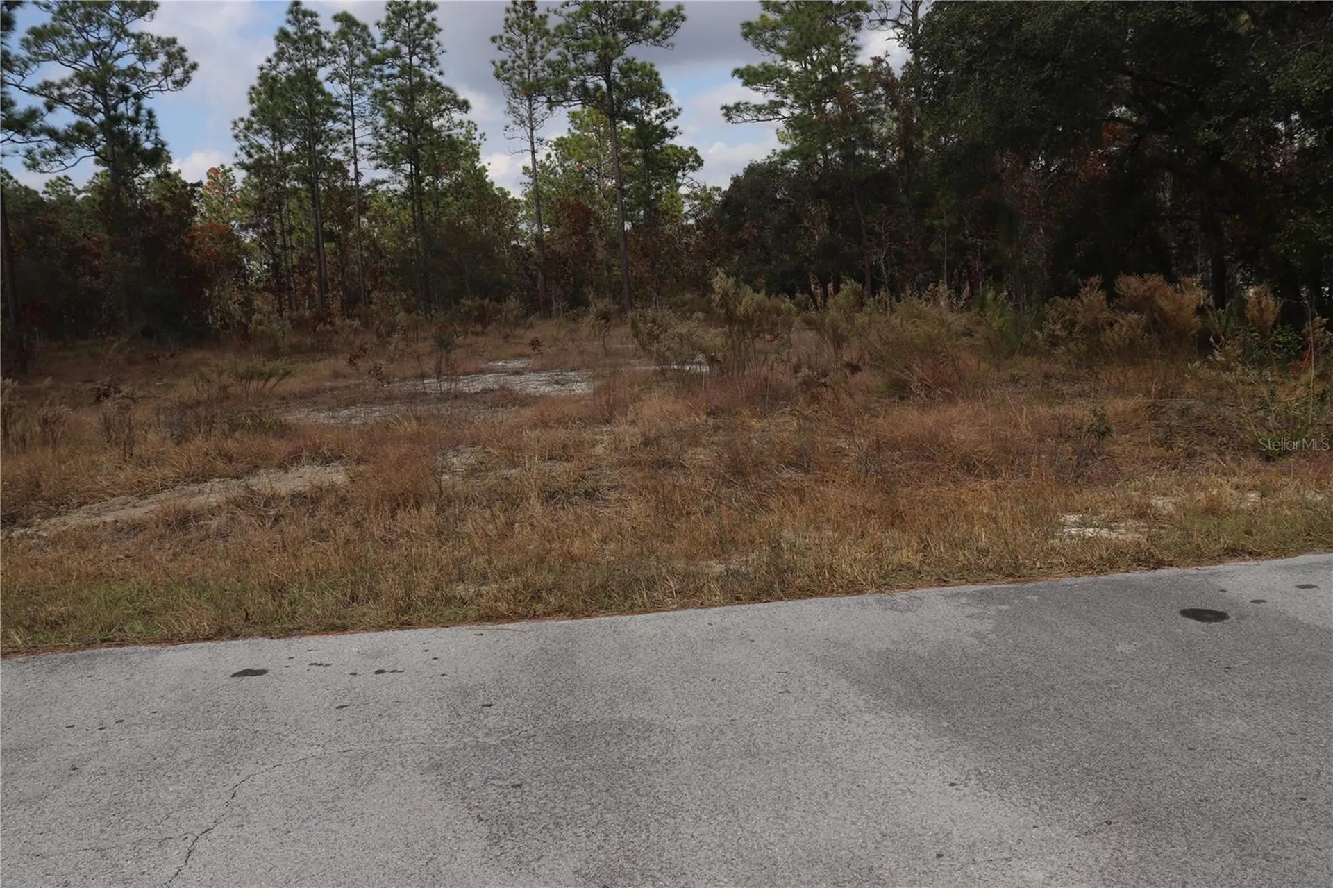 00 Geranium Avenue Dunnellon FL 34431