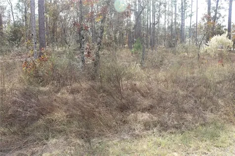 00 Geranium Avenue Dunnellon FL 34431