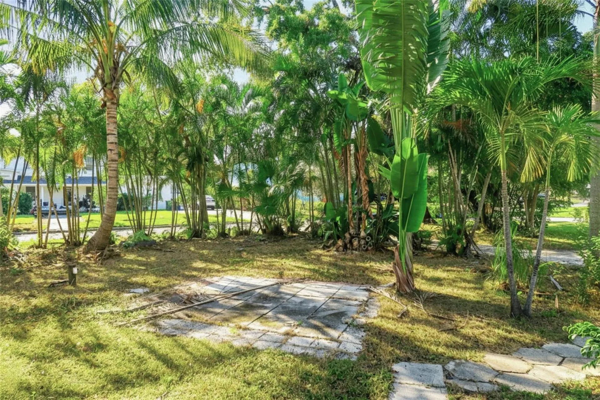 215 S Beverly Avenue Tampa FL 33609