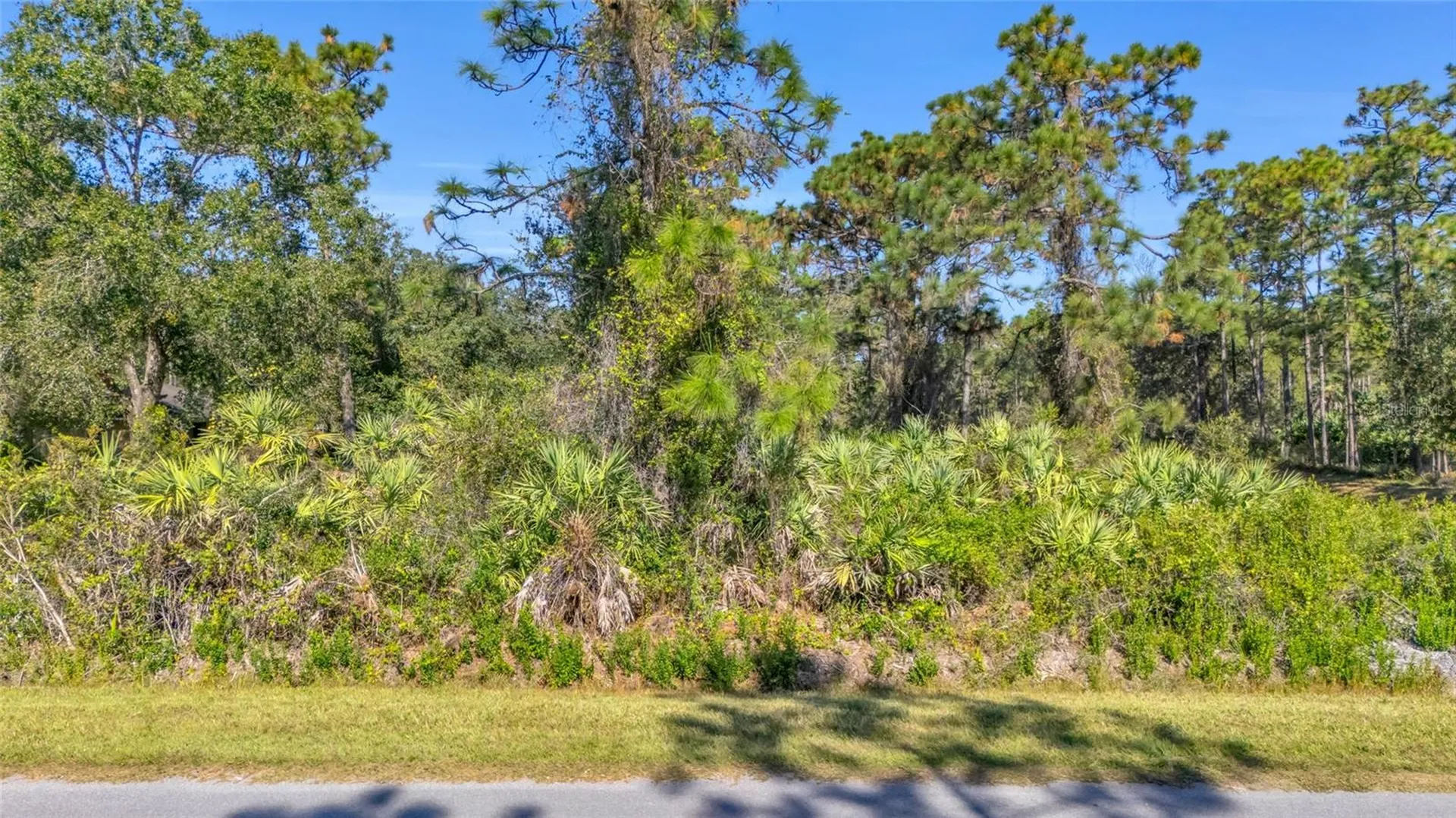 Quinlan Street Orlando FL 32833