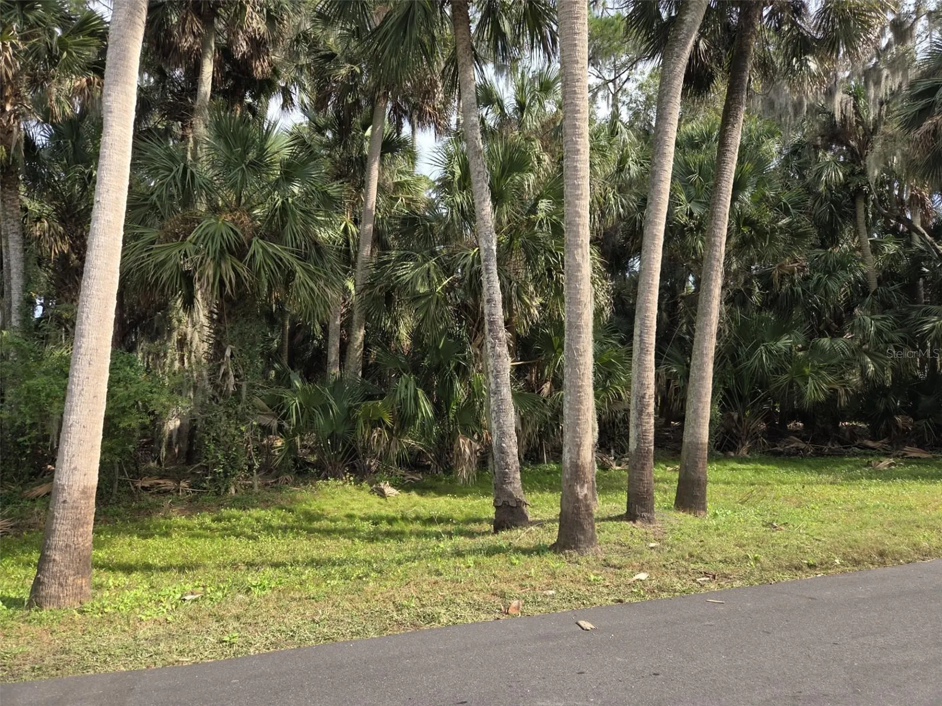 447 Warrior Trail Deltona FL 32725
