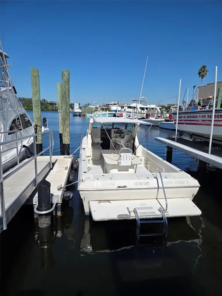 528 E Tarpon Avenue Tarpon Springs FL 34689