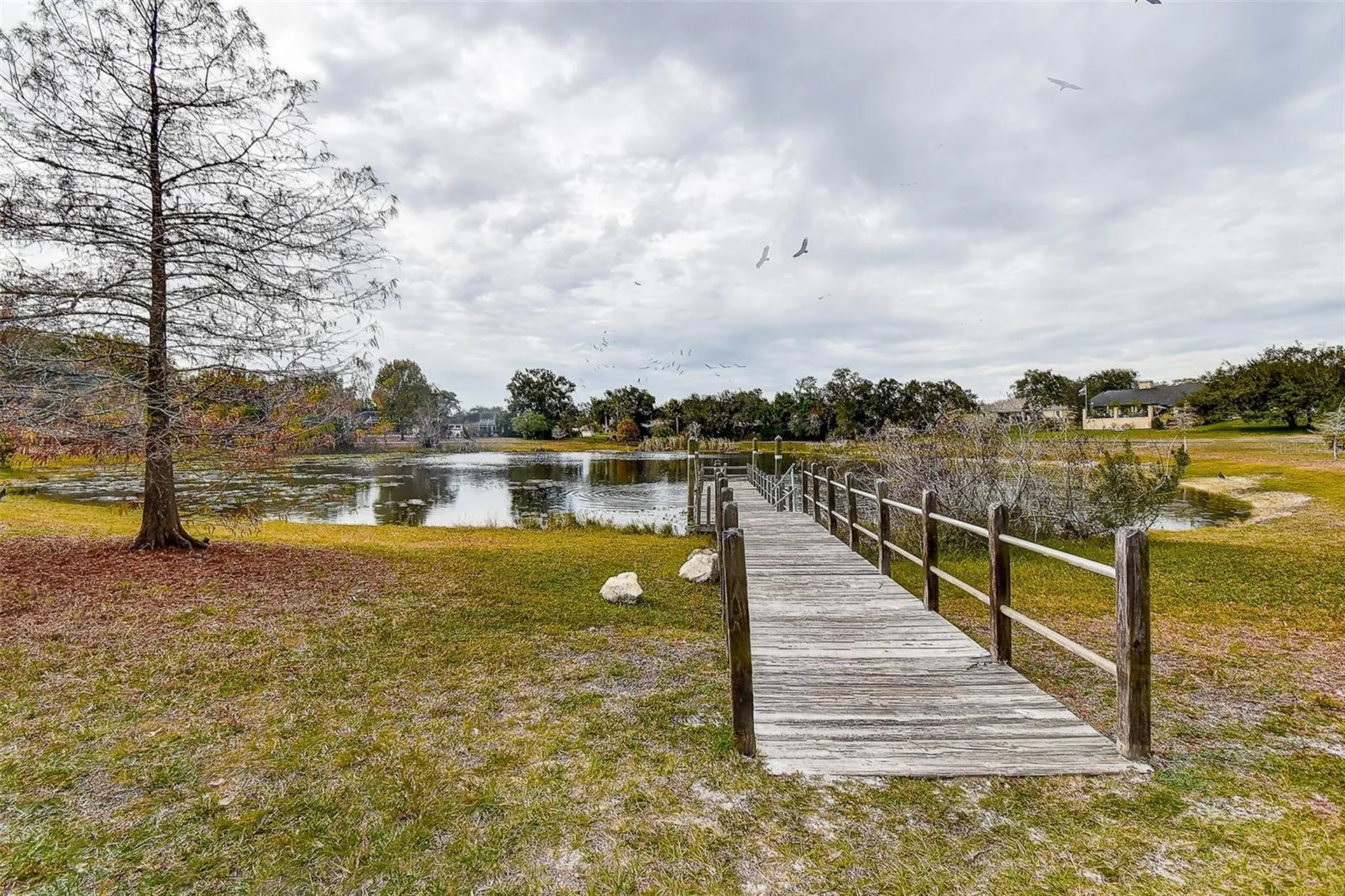 5253 Sandra Drive Spring Hill FL 34607