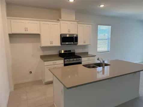 24525 Hodges Reserve Avenue Howey In The Hills FL 34737