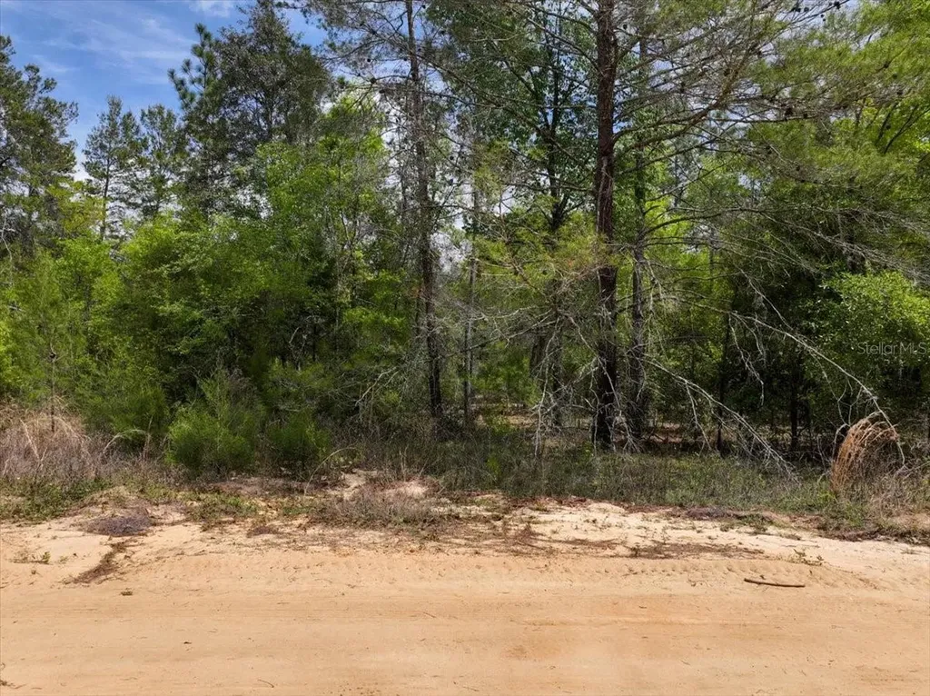118 Patch Street Interlachen FL 32148