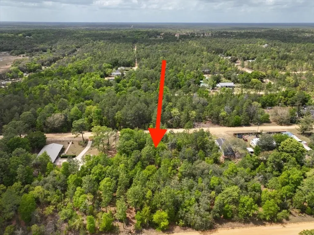 118 Patch Street Interlachen FL 32148