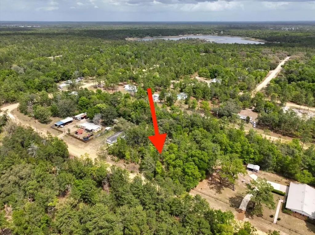 118 Patch Street Interlachen FL 32148