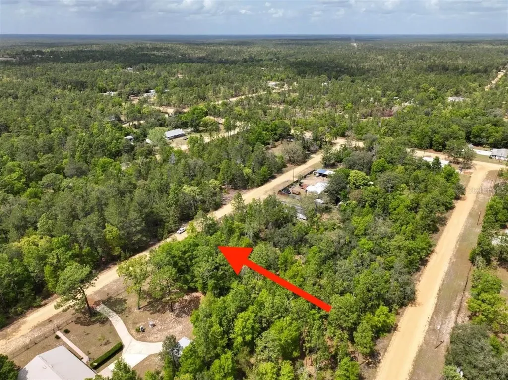 118 Patch Street Interlachen FL 32148