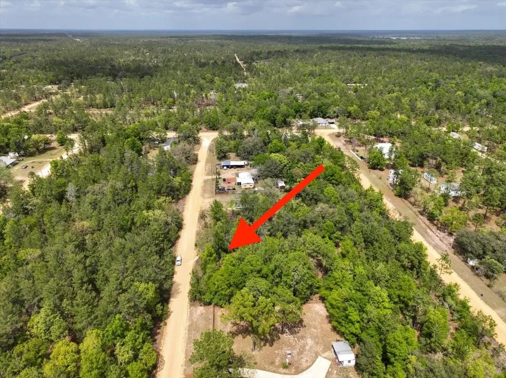 118 Patch Street Interlachen FL 32148