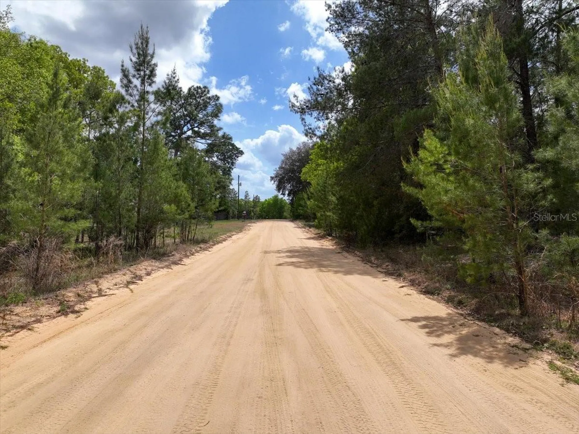 118 Patch Street Interlachen FL 32148