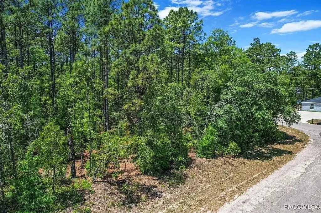 9410 N Peachtree Way Citrus Springs FL 34434