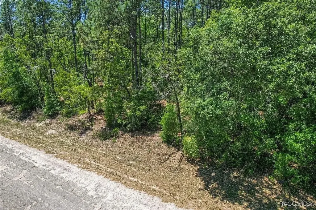 9410 N Peachtree Way Citrus Springs FL 34434