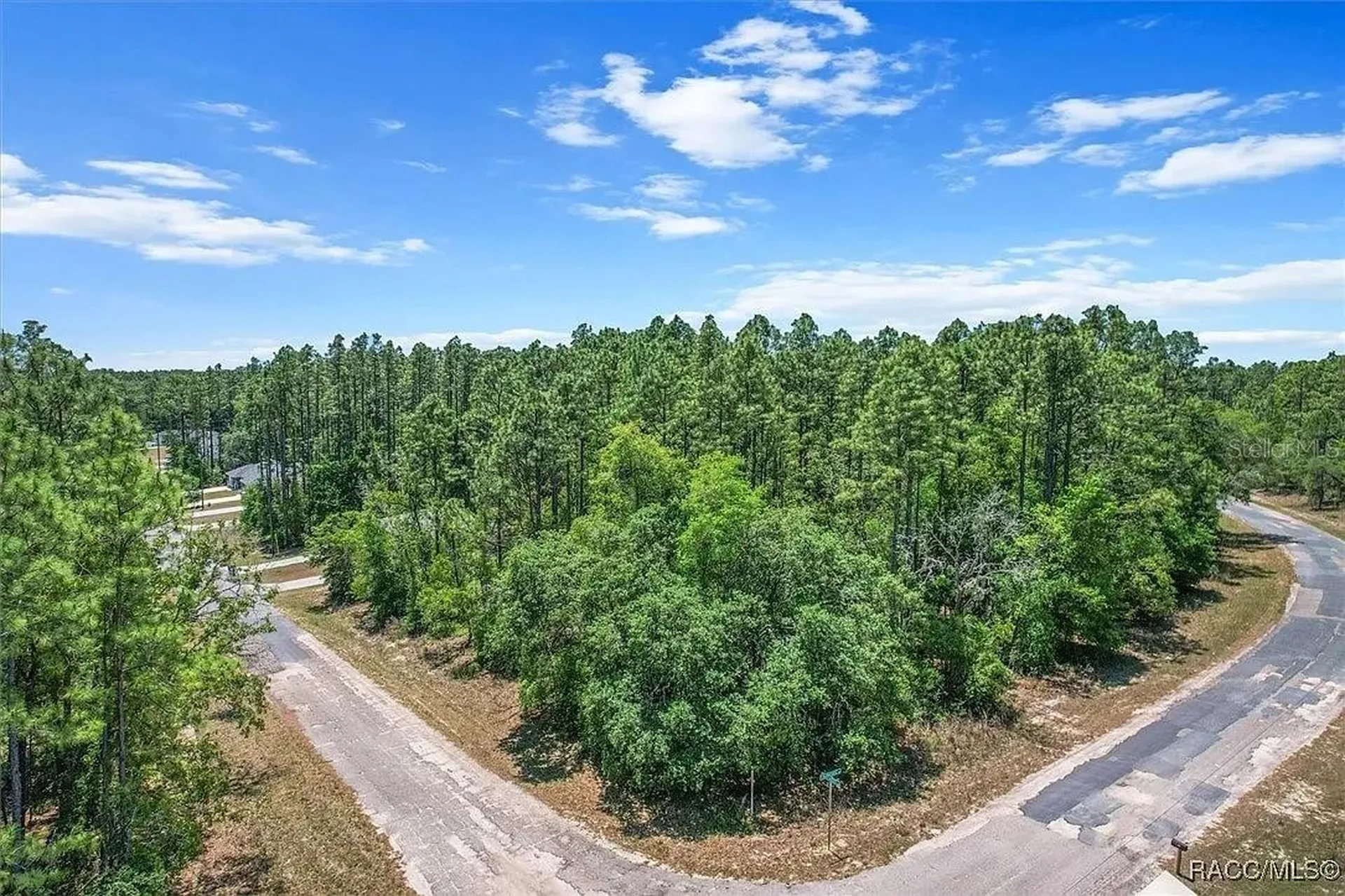 9410 N Peachtree Way Citrus Springs FL 34434