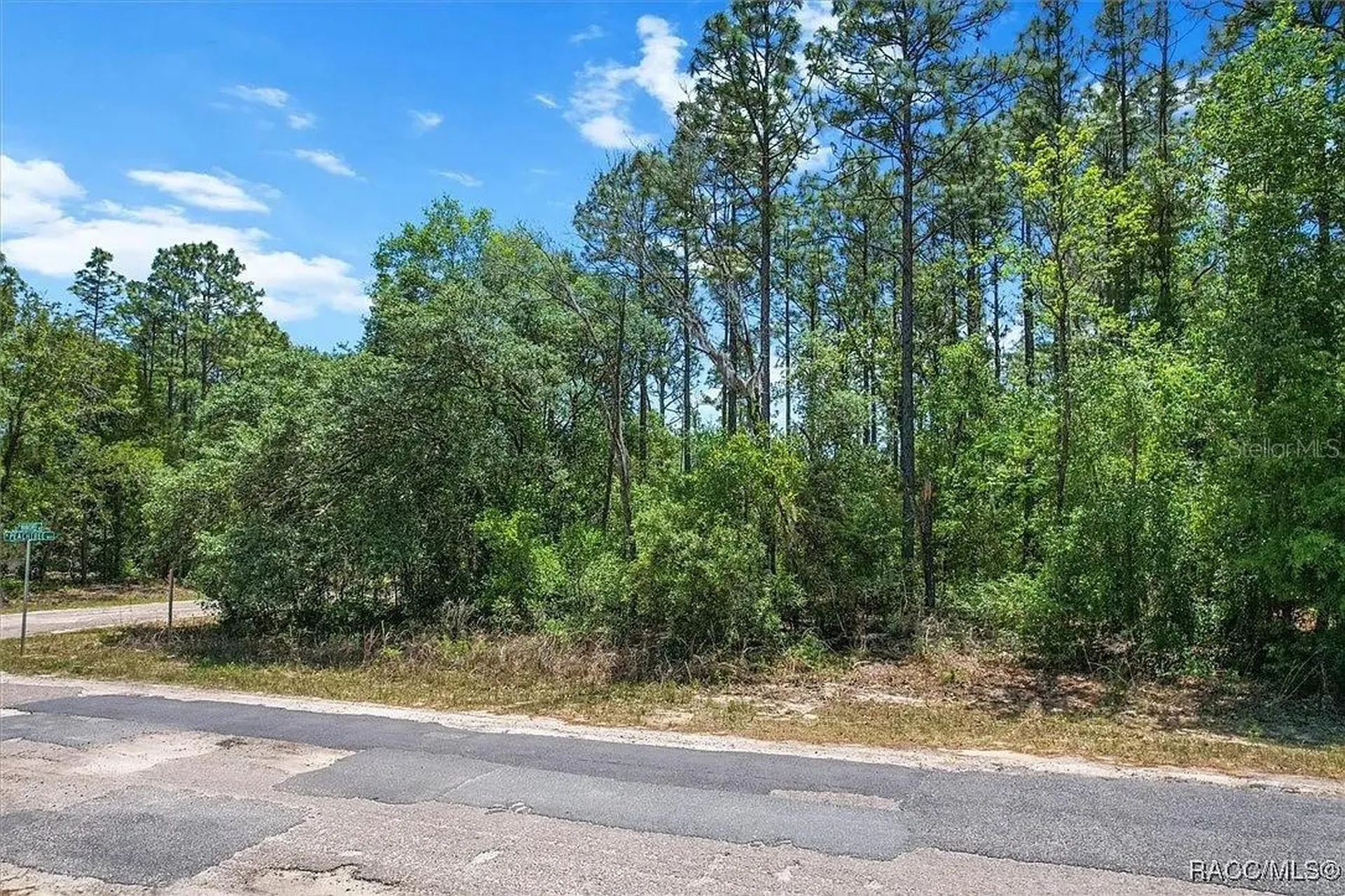 9410 N Peachtree Way Citrus Springs FL 34434