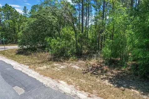 9410 N Peachtree Way Citrus Springs FL 34434