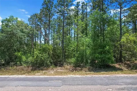 9410 N Peachtree Way Citrus Springs FL 34434