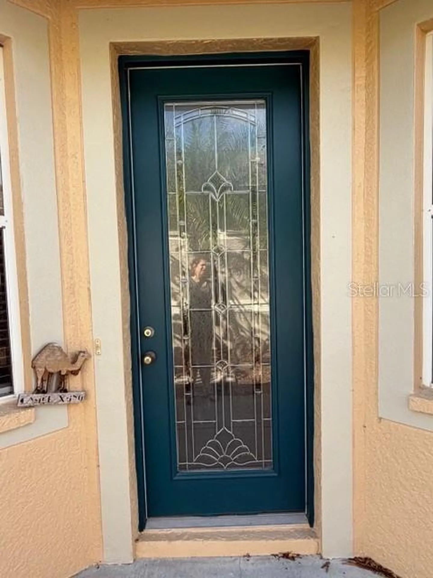 Land O Lakes FL 34637