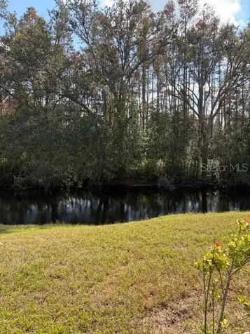 Land O Lakes FL 34637