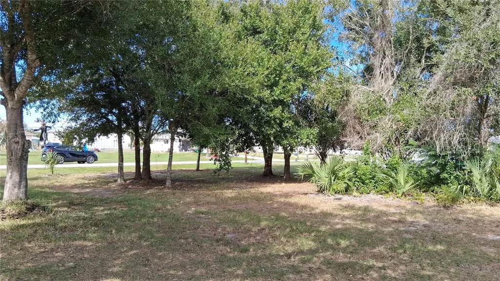 2454 Dorsey Street Punta Gorda FL 33983