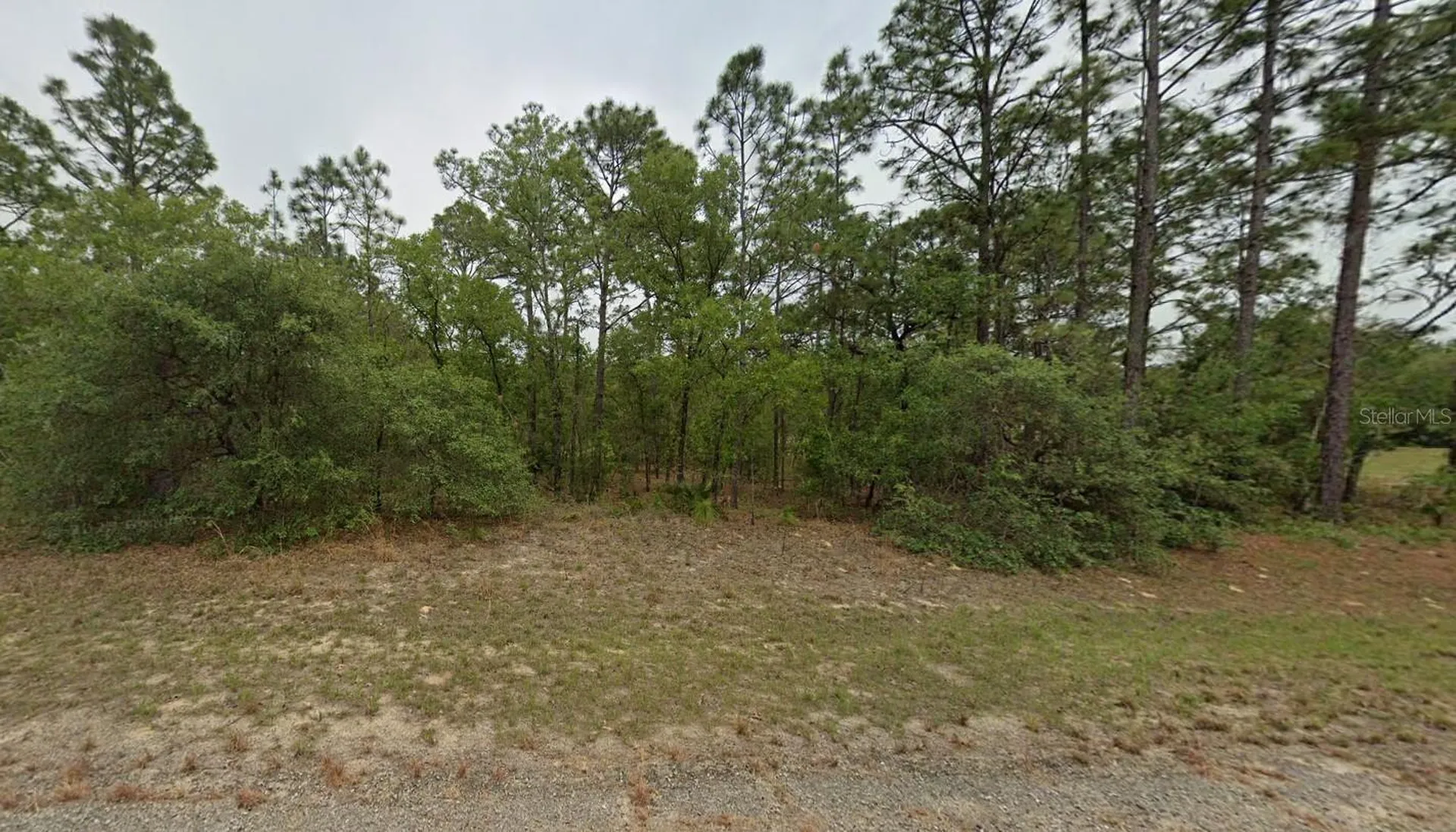 7627 N Dalton Terrace Dunnellon FL 34434