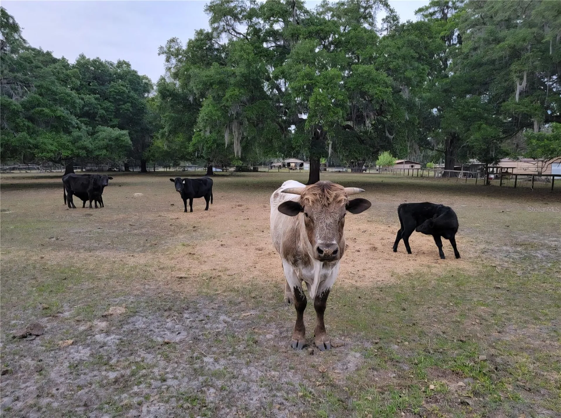 11419 Old Crystal River Road Brooksville FL 34601