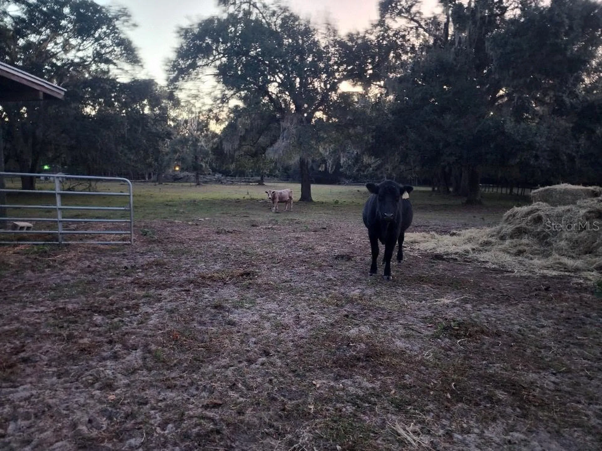 11419 Old Crystal River Road Brooksville FL 34601