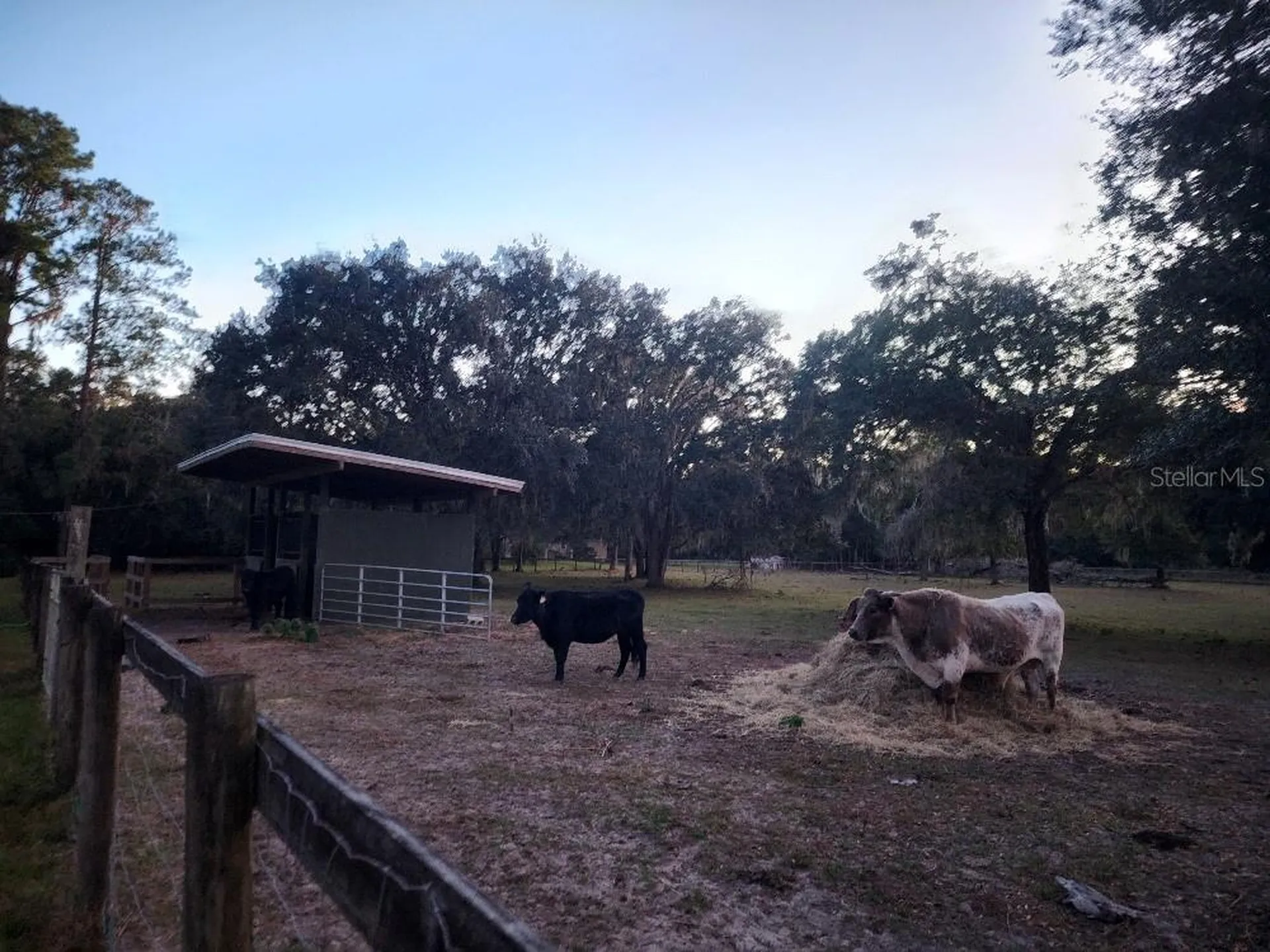 11419 Old Crystal River Road Brooksville FL 34601
