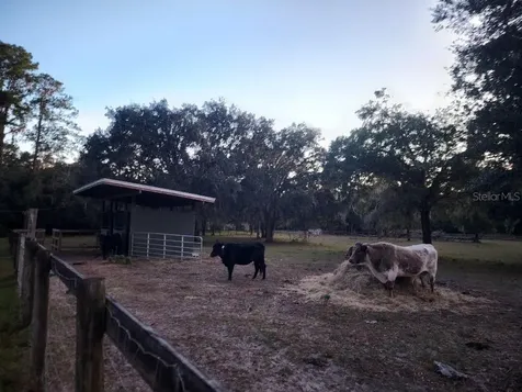 11419 Old Crystal River Road Brooksville FL 34601