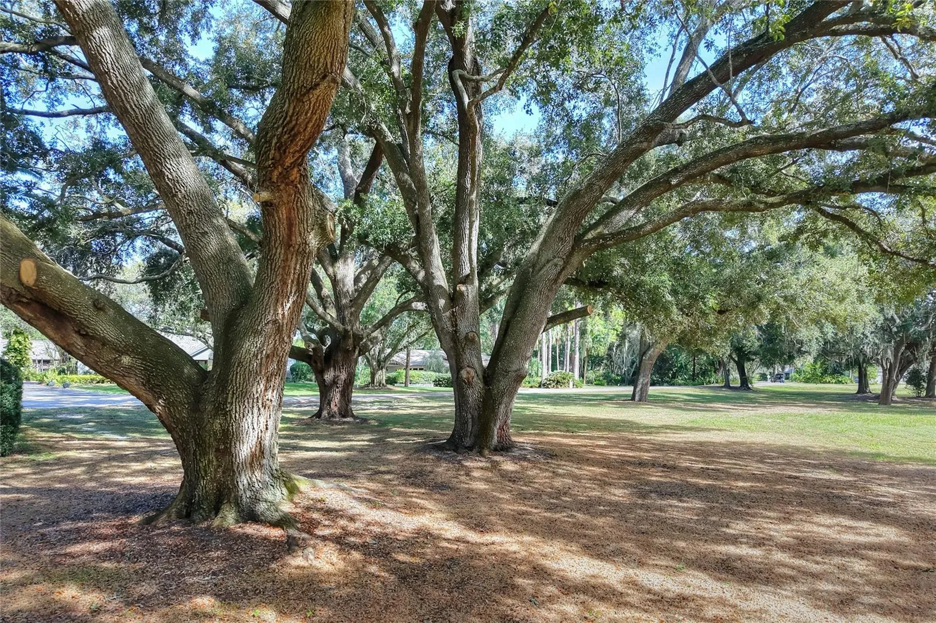 Island Way Winter Haven FL 33884