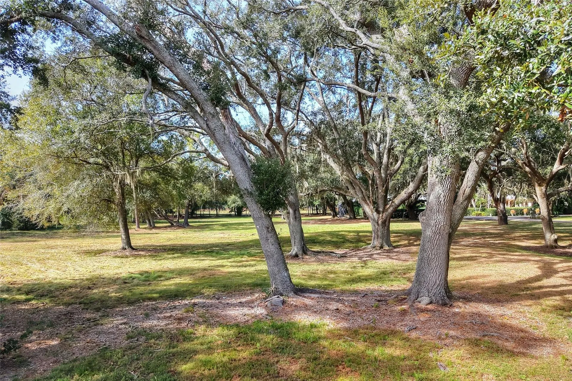 Island Way Winter Haven FL 33884