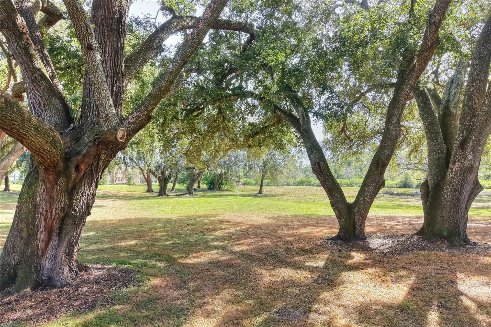 Island Way Winter Haven FL 33884