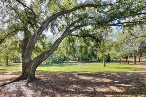Island Way Winter Haven FL 33884