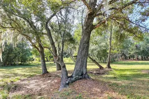 Island Way Winter Haven FL 33884