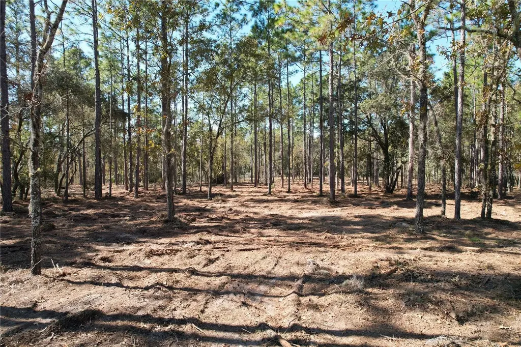 93RD Terrace Archer FL 32618
