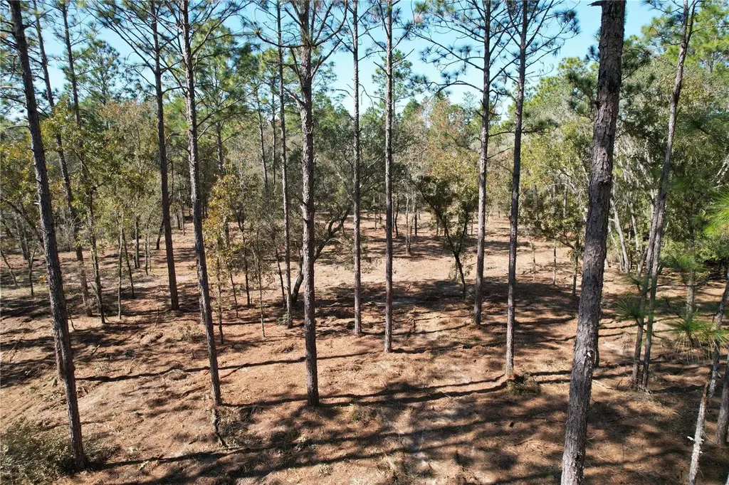 93RD Terrace Archer FL 32618