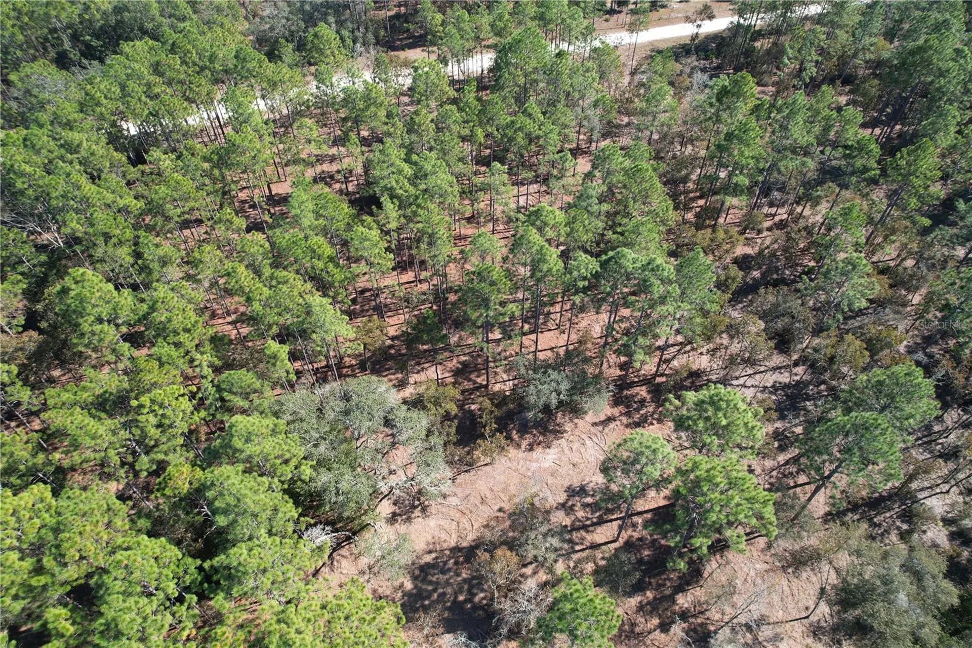 93RD Terrace Archer FL 32618