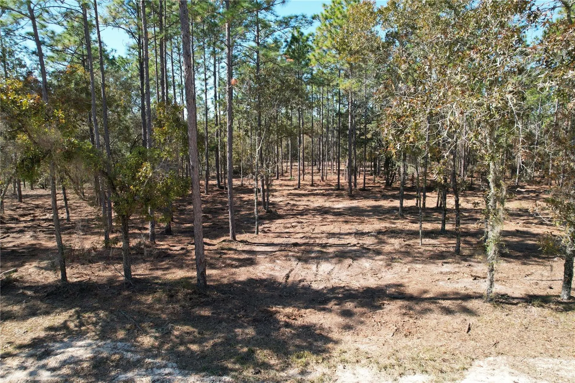 93RD Terrace Archer FL 32618