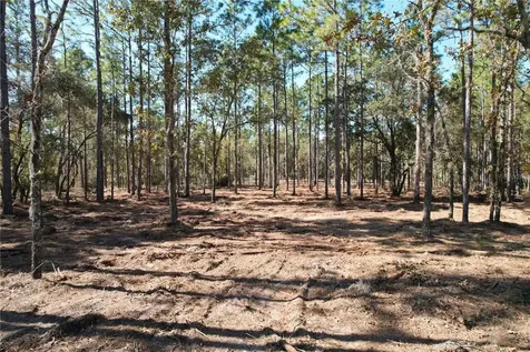 93RD Terrace Archer FL 32618